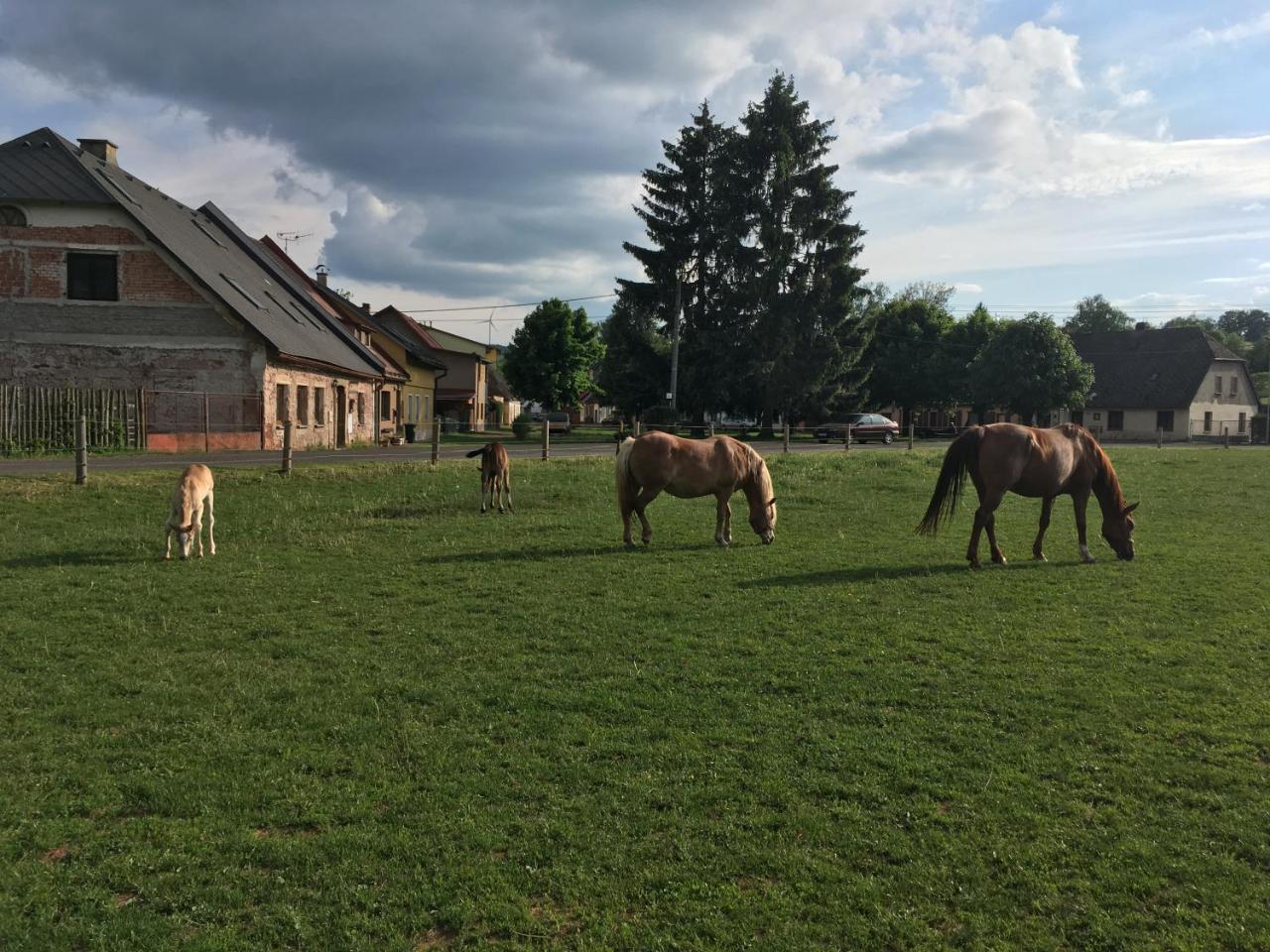Penzion U Skutilu Pilníkov Exterior foto